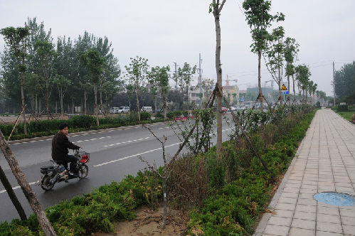 濰坊市臥龍西街（西環(huán)路—長(cháng)松路）